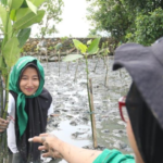 Semangat Tanpa Batas, Kelompok Disabilitas dan Perempuan Hijaukan Pesisir Desa Tuwed dengan Mangrove
