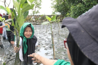 Semangat Tanpa Batas, Kelompok Disabilitas dan Perempuan Hijaukan Pesisir Desa Tuwed dengan Mangrove