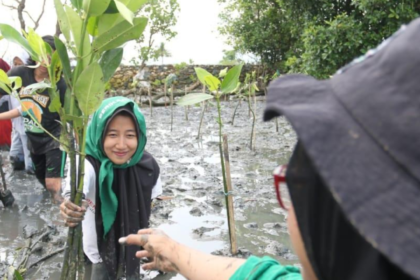 Semangat Tanpa Batas, Kelompok Disabilitas dan Perempuan Hijaukan Pesisir Desa Tuwed dengan Mangrove