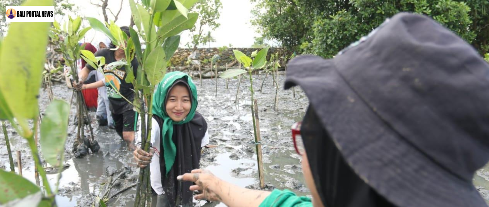 Semangat Tanpa Batas, Kelompok Disabilitas dan Perempuan Hijaukan Pesisir Desa Tuwed dengan Mangrove