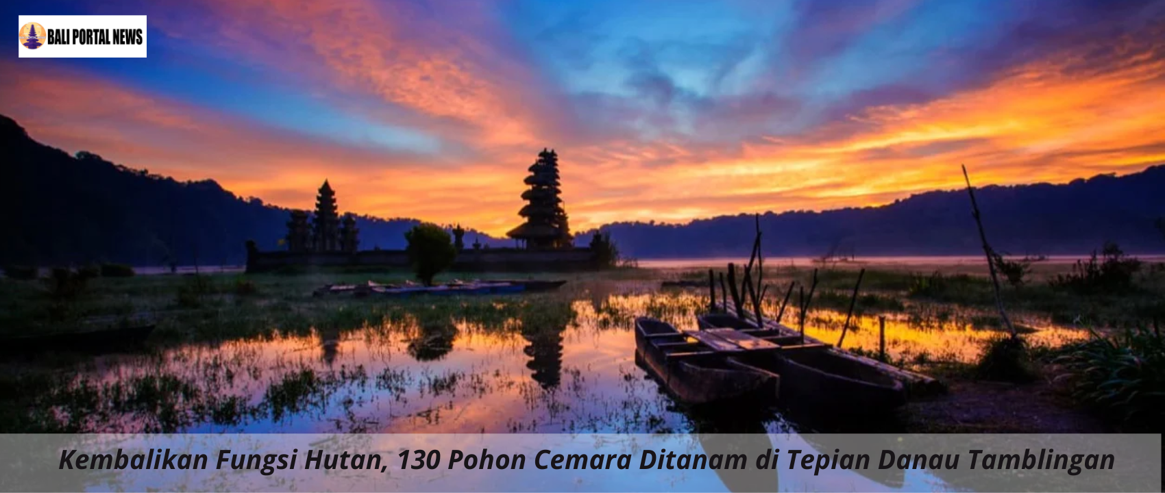 Kembalikan Fungsi Hutan, 130 Pohon Cemara Ditanam di Tepian Danau Tamblingan