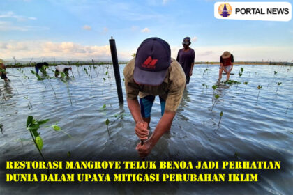 Restorasi Mangrove