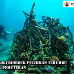 Teknologi Biorock Pulihkan Terumbu Karang Pemuteran
