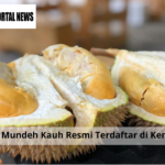 Durian Mundeh Kauh Resmi Terdaftar di Kementan