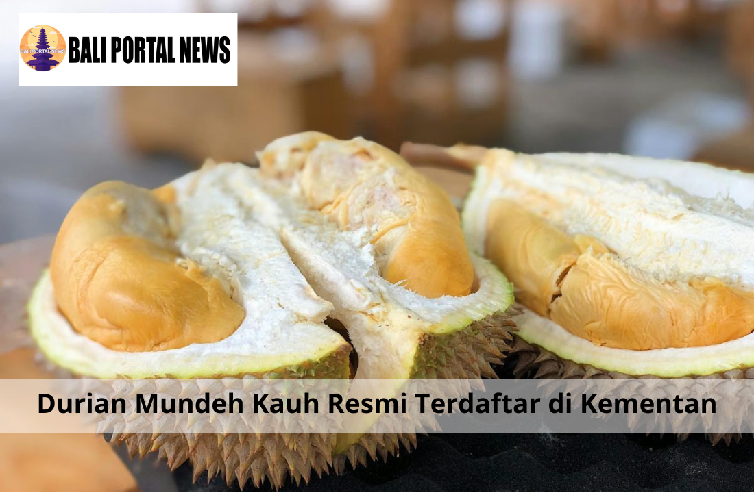 Durian Mundeh Kauh Resmi Terdaftar di Kementan