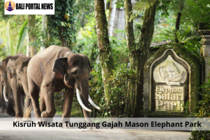 Kisruh Wisata Tunggang Gajah Mason Elephant Park