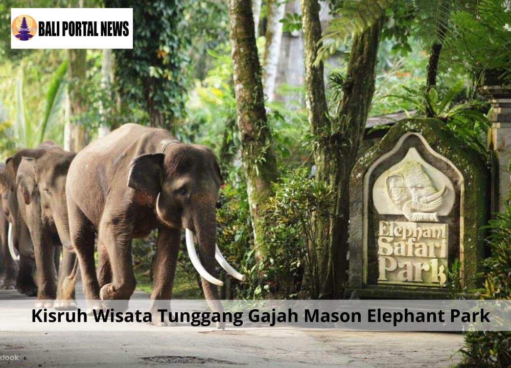 Kisruh Wisata Tunggang Gajah Mason Elephant Park