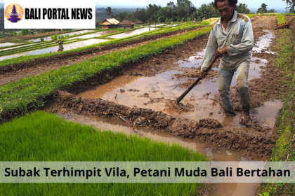 Subak Terhimpit Vila, Petani Muda Bali Bertahan