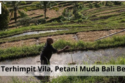 Subak Terhimpit Vila, Petani Muda Bali Bertahan
