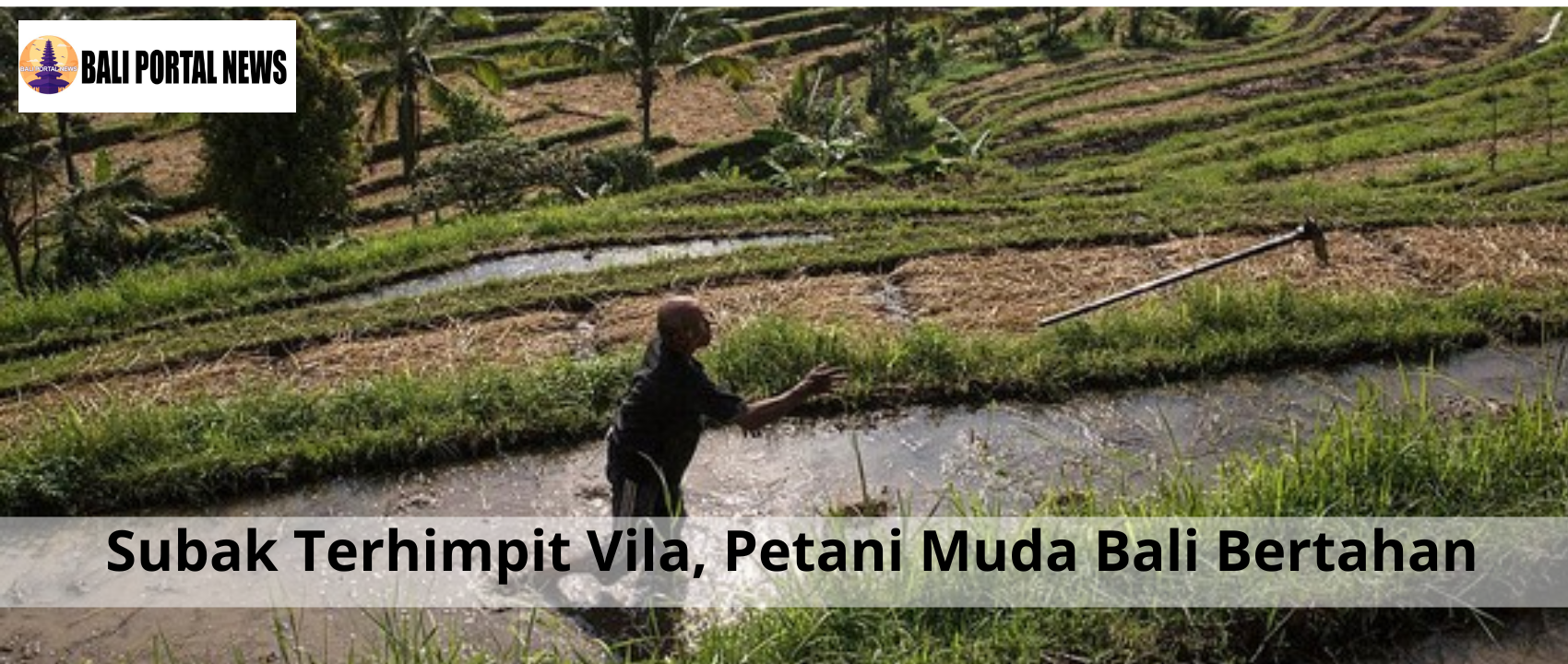 Subak Terhimpit Vila, Petani Muda Bali Bertahan