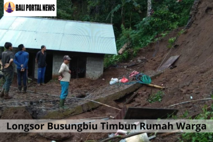 Longsor Busungbiu Timbun Rumah Warga