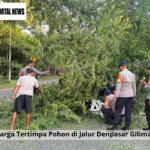 Dua Warga Tertimpa Pohon di Jalur Denpasar Gilimanuk