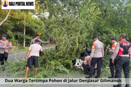 Dua Warga Tertimpa Pohon di Jalur Denpasar Gilimanuk