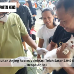 Ditemukan Anjing Rabies Vaksinasi Telah Sasar 2.049 Ekor di Denpasar Bali