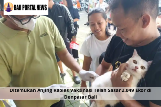 Ditemukan Anjing Rabies Vaksinasi Telah Sasar 2.049 Ekor di Denpasar Bali