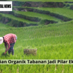 Pertanian Organik Tabanan Jadi Pilar Ekonomi