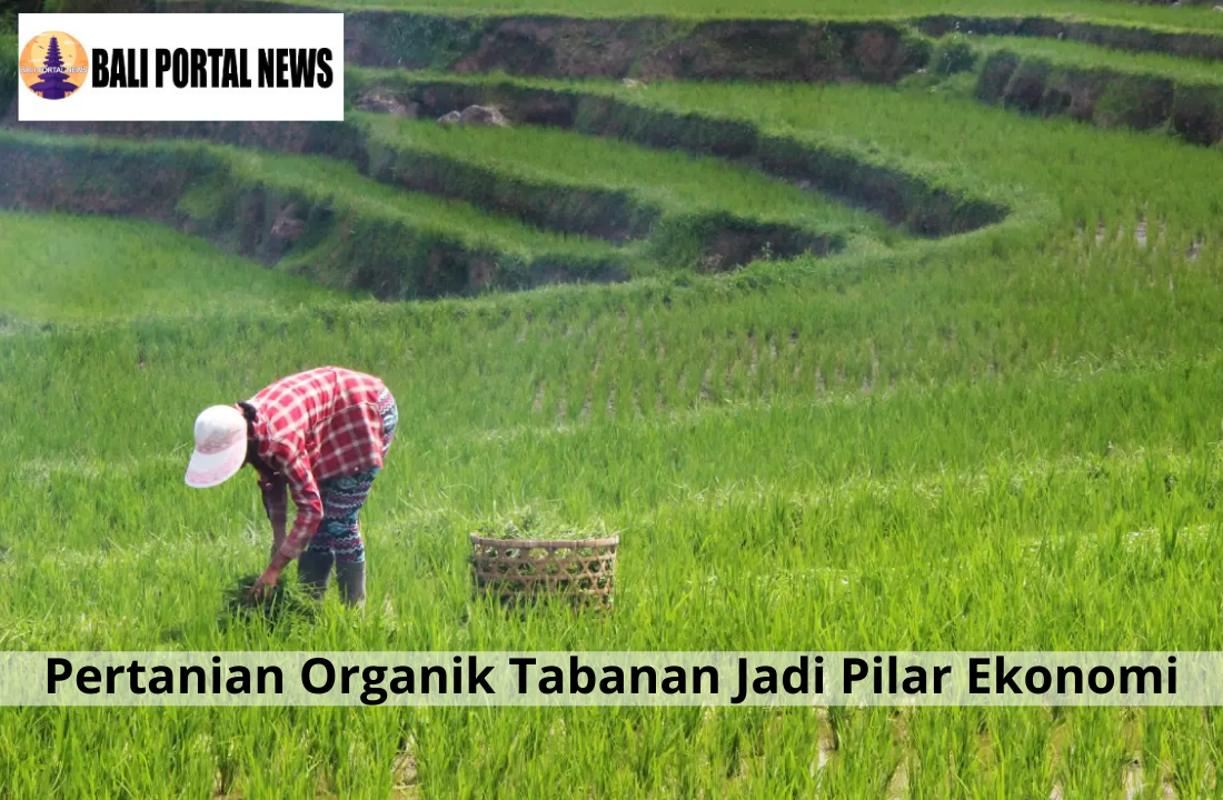 Pertanian Organik Tabanan Jadi Pilar Ekonomi