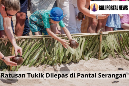 Ratusan Tukik Dilepas di Pantai Serangan