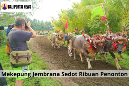 Mekepung Jembrana Sedot Ribuan Penonton