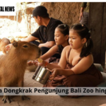 Capybara Dongkrak Pengunjung Bali Zoo hingga 120%