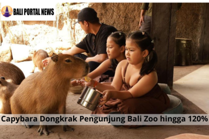 Capybara Dongkrak Pengunjung Bali Zoo hingga 120%